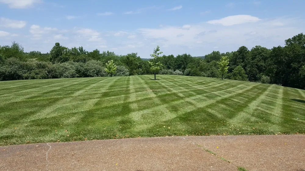 Expert landscaping services for residential properties across Columbia, MO - Pristine Lawn Services