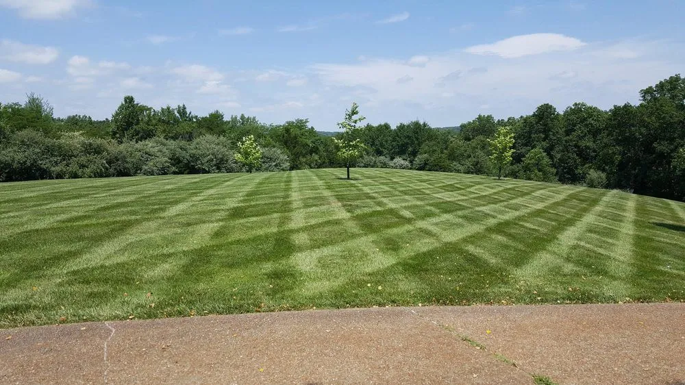 Professional yard cleanup service experts serving Columbia, MO - Pristine Lawn Services