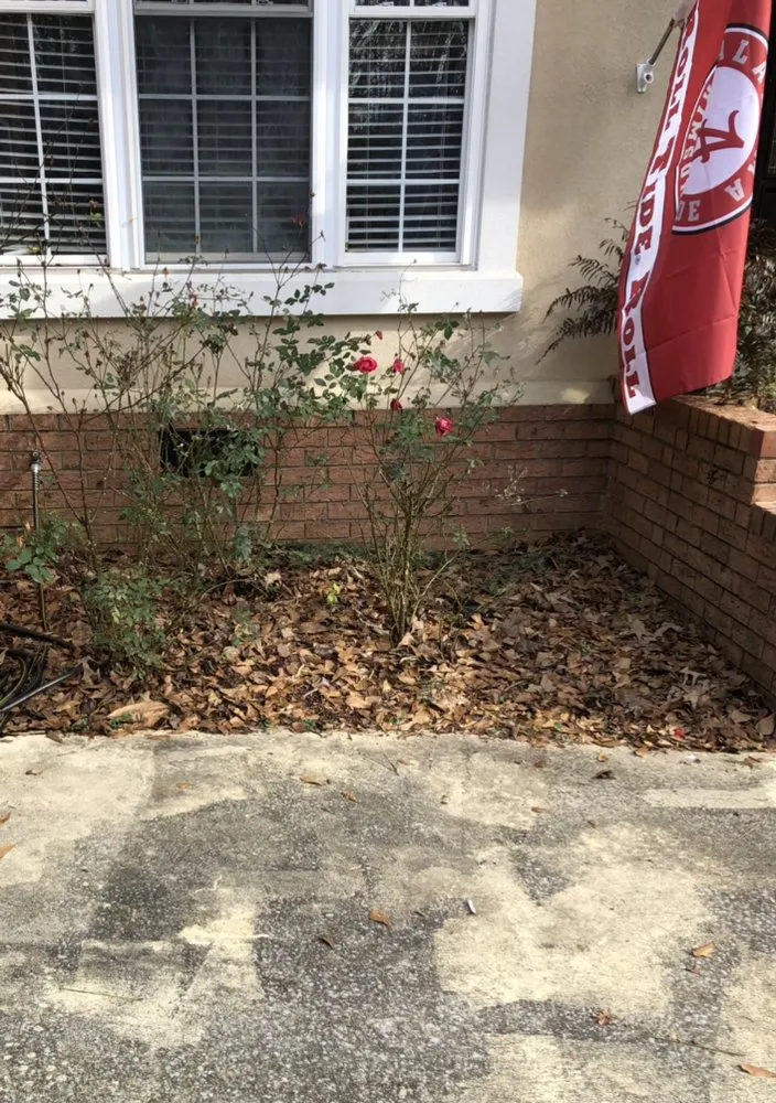 Affordable yard maintenance in Gadsden, AL by Pristine Lawn Services