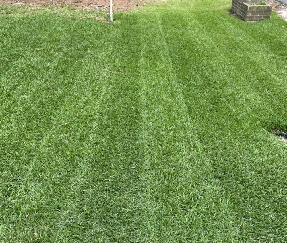 Affordable landscaping services in Gadsden, AL by Pristine Lawn Services