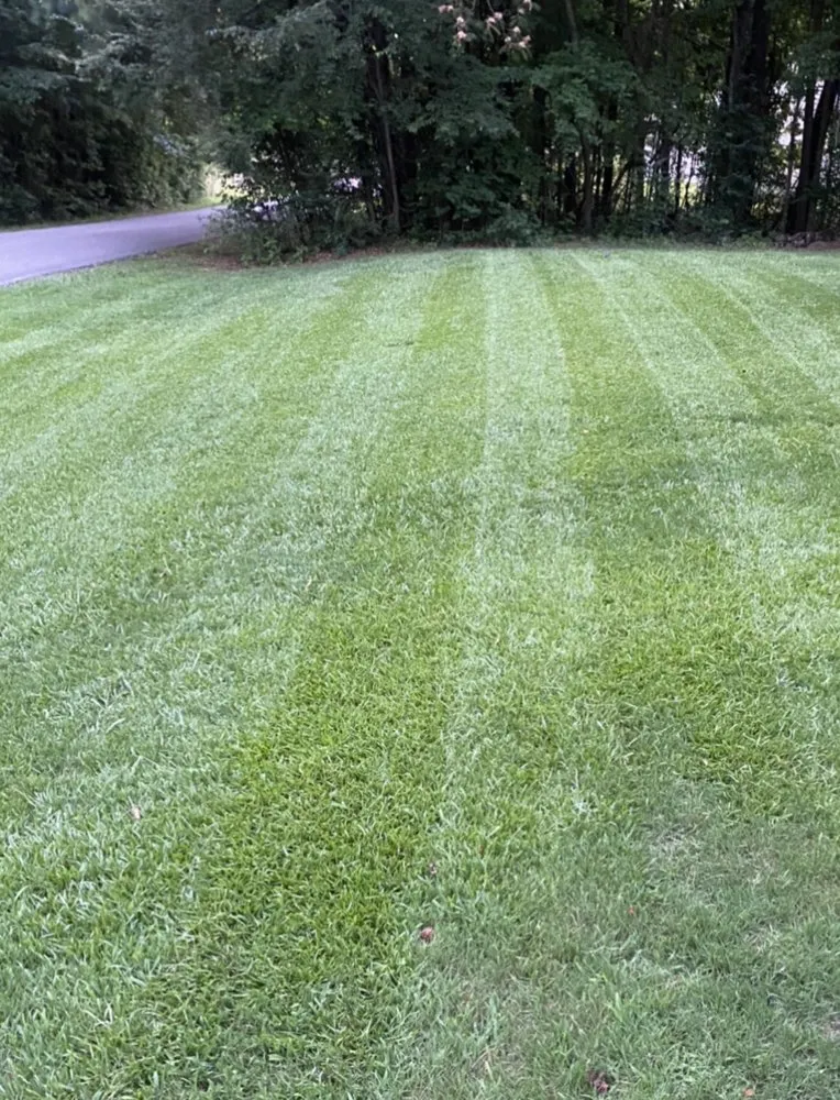 Local lawn care service in Gadsden, AL - Pristine Lawn Services