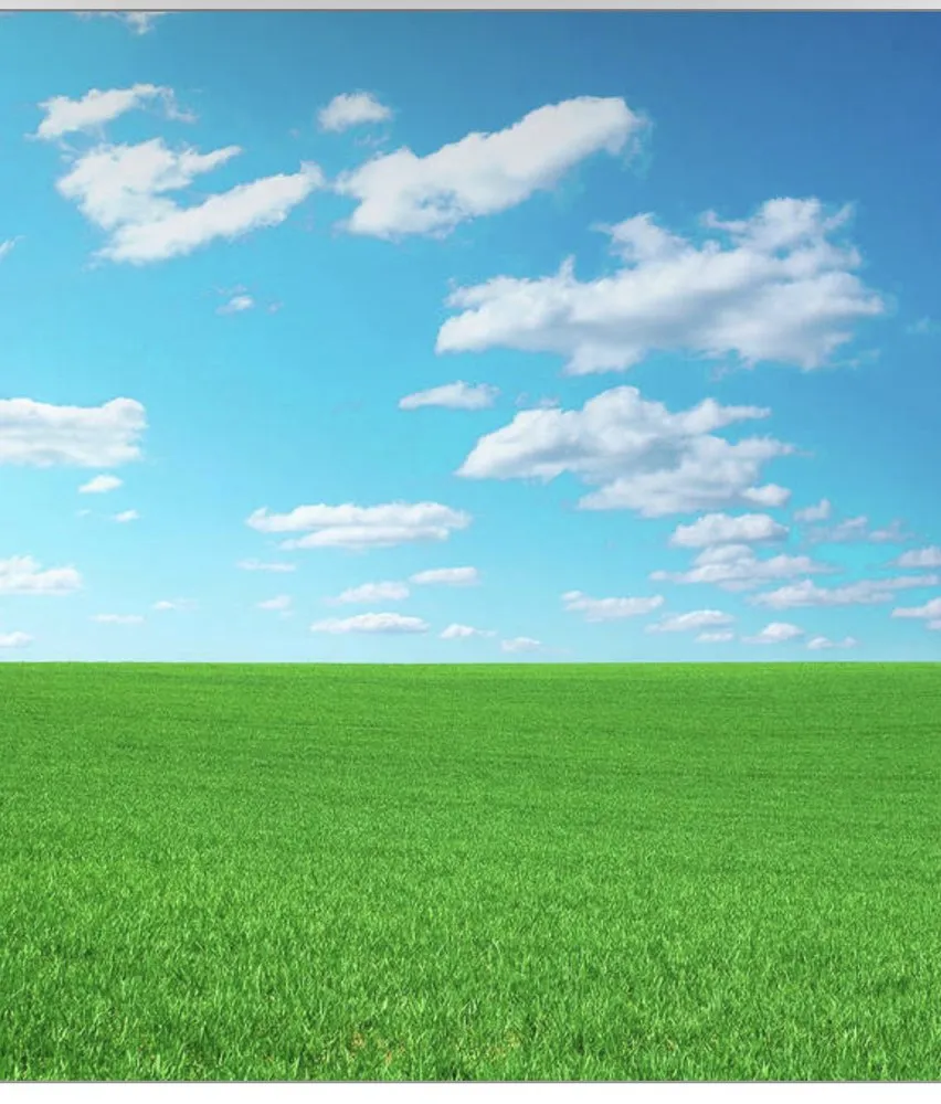 Trusted lawn mowing service with custom design across Lakeland, FL - Pristine Lawns by James