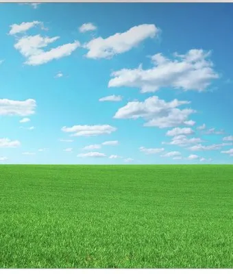 Pristine Lawns by James Logo