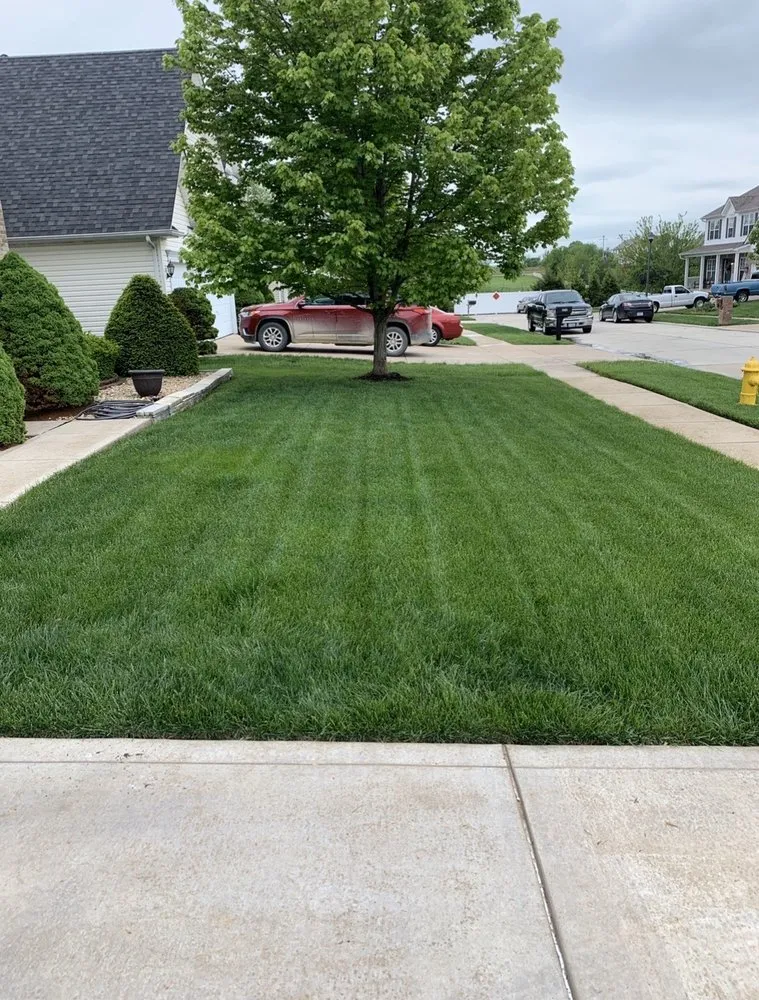 Local lawn care service near you in Wentzville, MO by Pristine Lawns