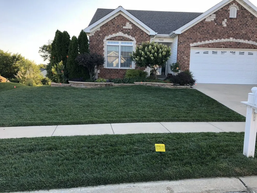 Reliable outdoor landscaping for outdoor upgrades in Wentzville, MO by Pristine Lawns
