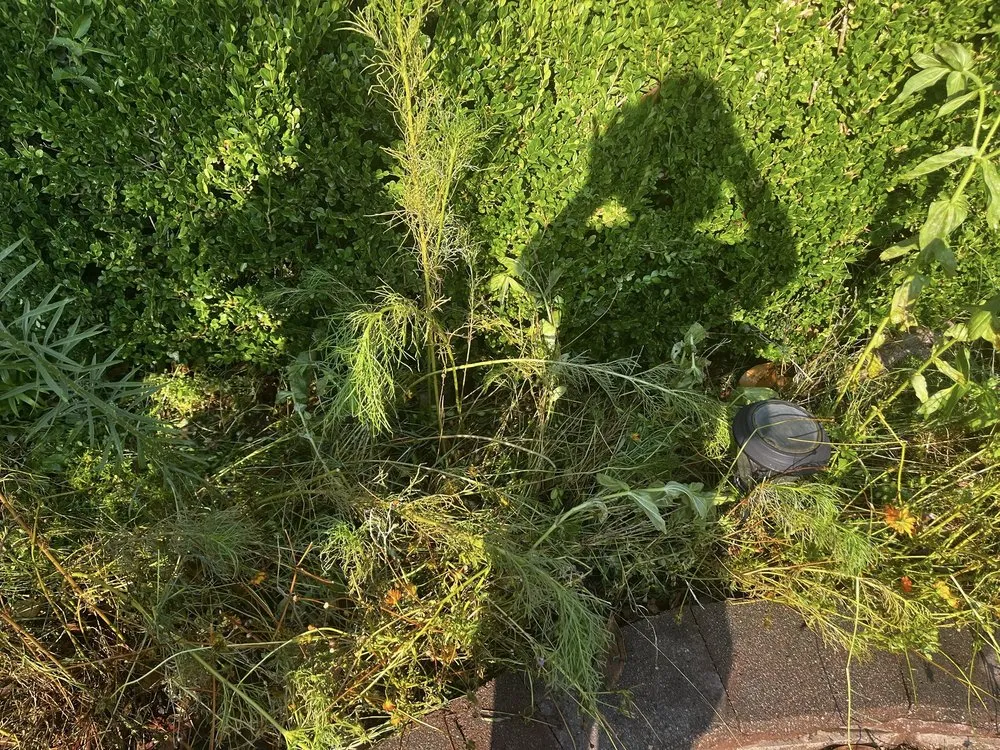 Expert residential landscaping for homes across Edmond, OK - Pristine LawnScapes