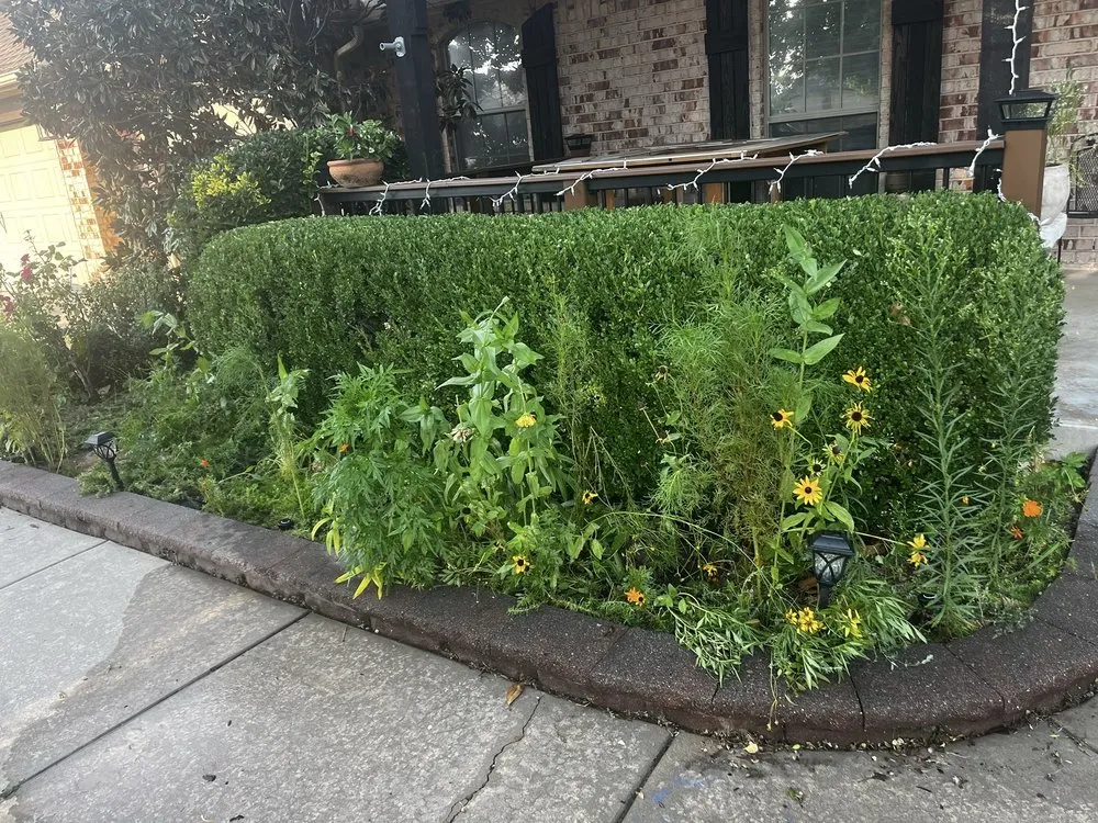 Affordable yard maintenance in Edmond, OK - Pristine LawnScapes