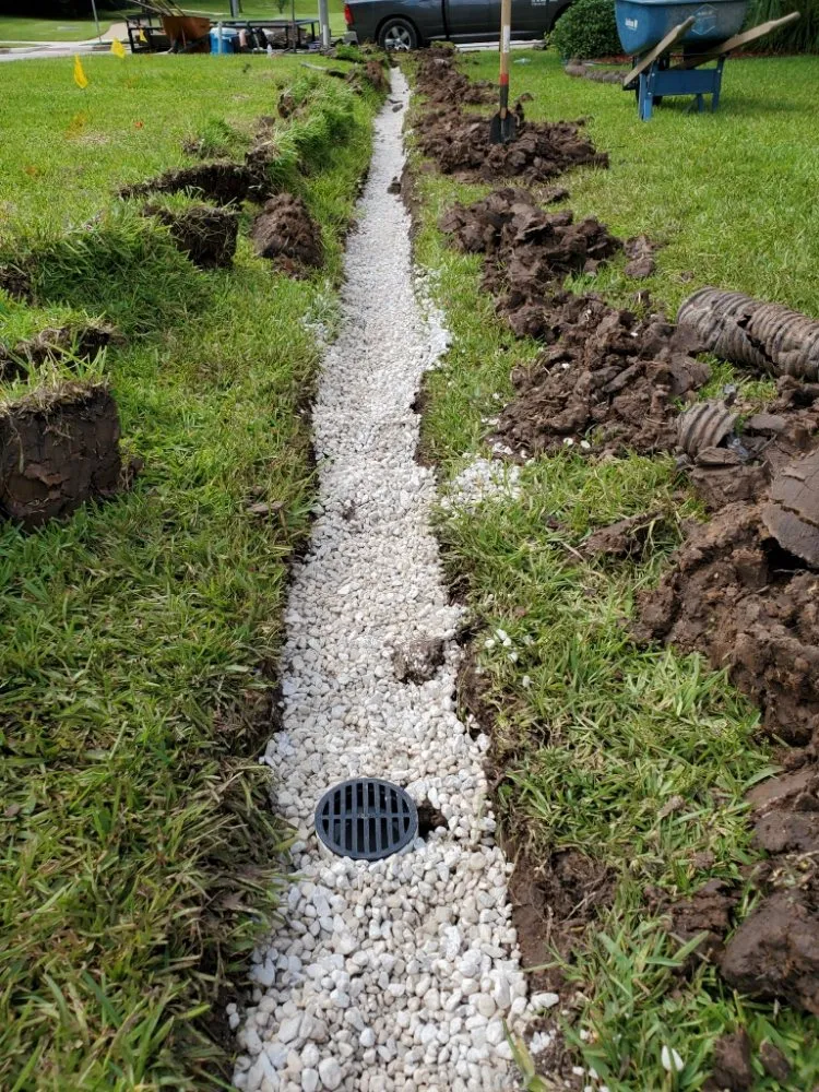 Top-rated residential landscaping in Houston, TX - Pristine Outdoor Services