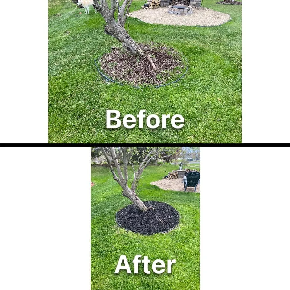 Expert lawn care service in Shakopee, MN by Pristine Outdoor Services