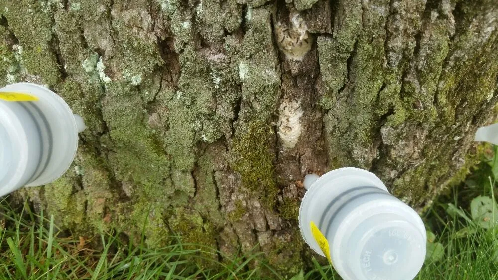 Custom garden landscaping for residential properties in Rockaway, NJ by Pristine Plant Healthcare