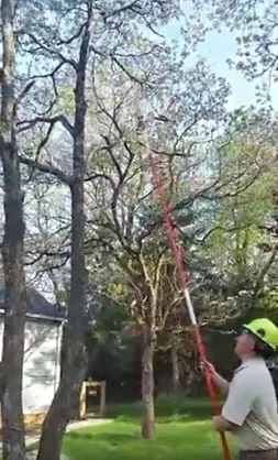 Custom residential landscaping experts serving Rockaway, NJ - Pristine Plant Healthcare