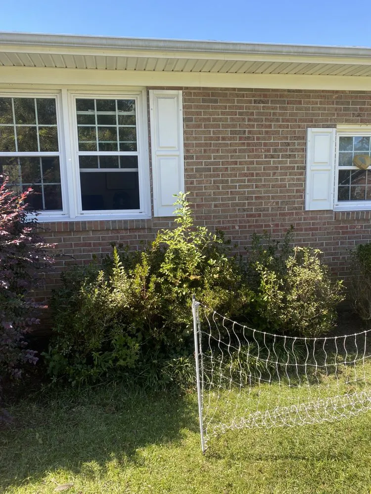 Expert residential landscaping experts serving Wilmington, NC - Pristine Pool & Lawn