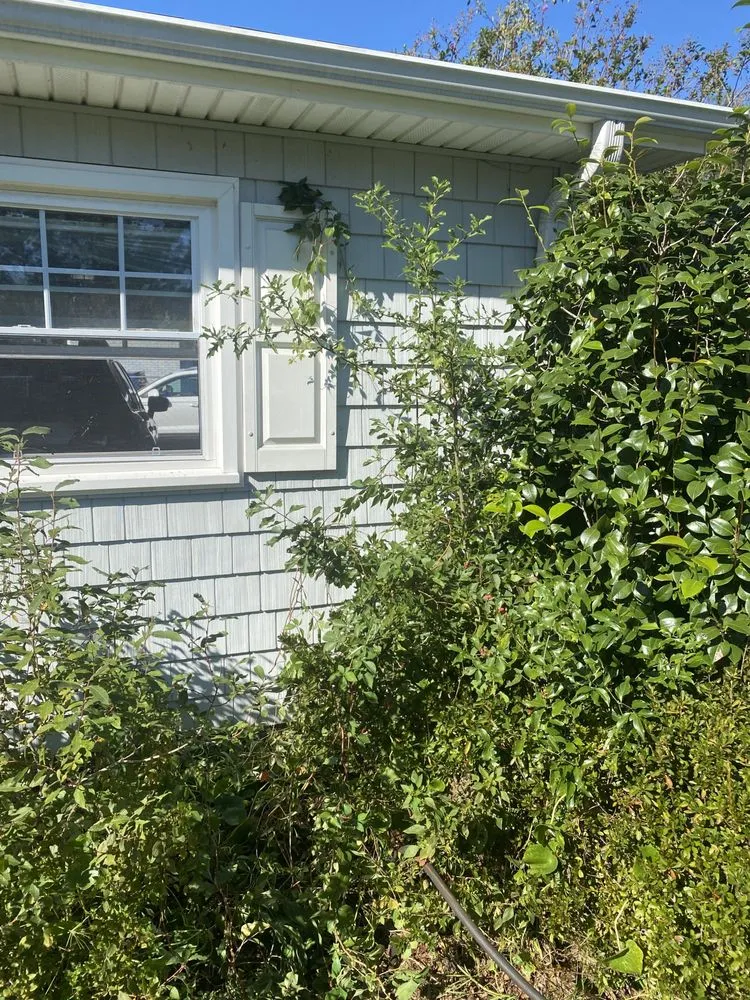 Professional lawn care service for year-round maintenance across Wilmington, NC - Pristine Pool & Lawn