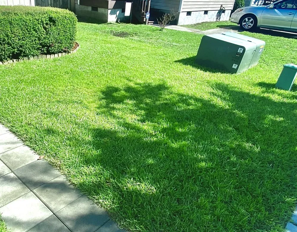 Trusted garden landscaping for year-round maintenance across Wilmington, NC - Pristine Pool & Lawn