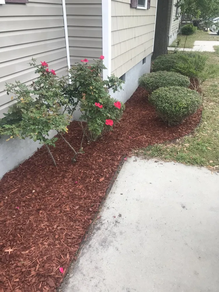 Trusted yard maintenance in Wilmington, NC - Pristine Pool & Lawn