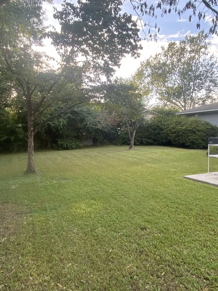 Local yard maintenance experts serving Wilmington, NC - Pristine Pool & Lawn