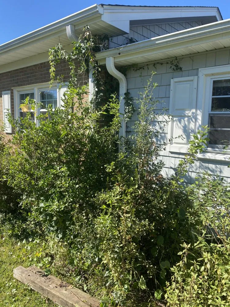 Custom landscape installation with custom design in Wilmington, NC by Pristine Pool & Lawn