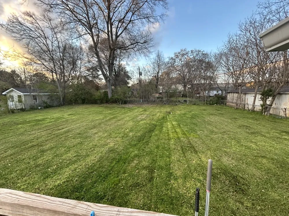 Reliable landscaping services in Calera, AL - Pristine Power and Lawn