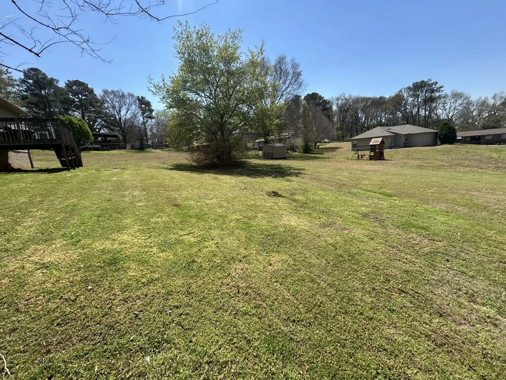 Reliable landscaping services for year-round maintenance across Calera, AL - Pristine Power and Lawn