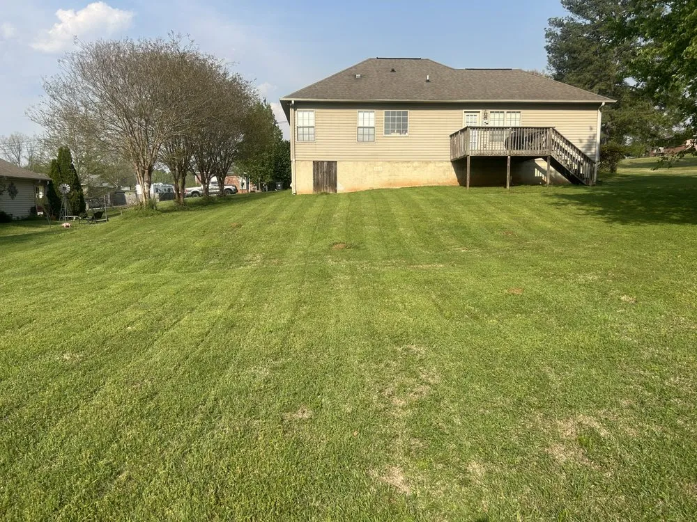 Reliable landscaping services experts serving Calera, AL - Pristine Power and Lawn