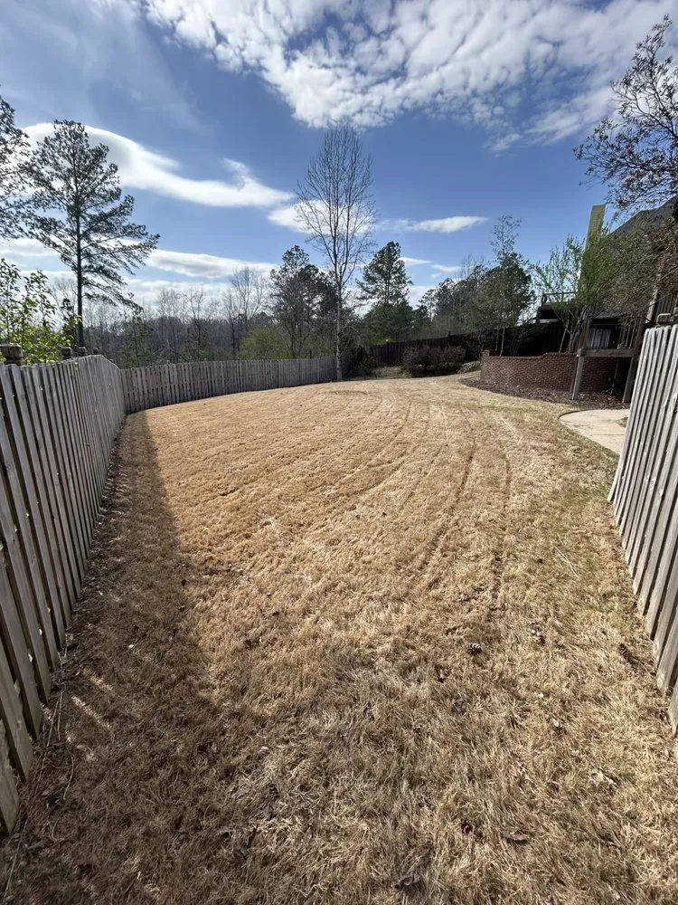 Trusted residential landscaping for outdoor upgrades in Calera, AL by Pristine Power and Lawn