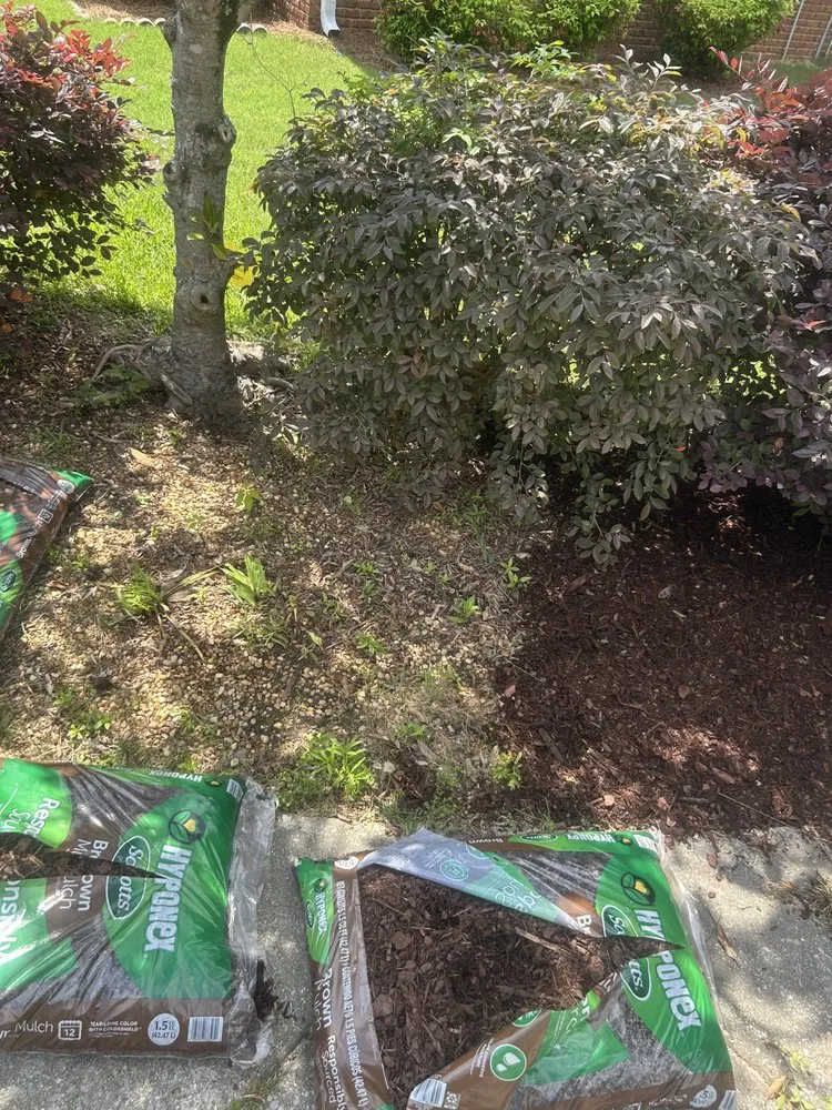 Reliable outdoor landscaping experts serving Calera, AL - Pristine Power and Lawn