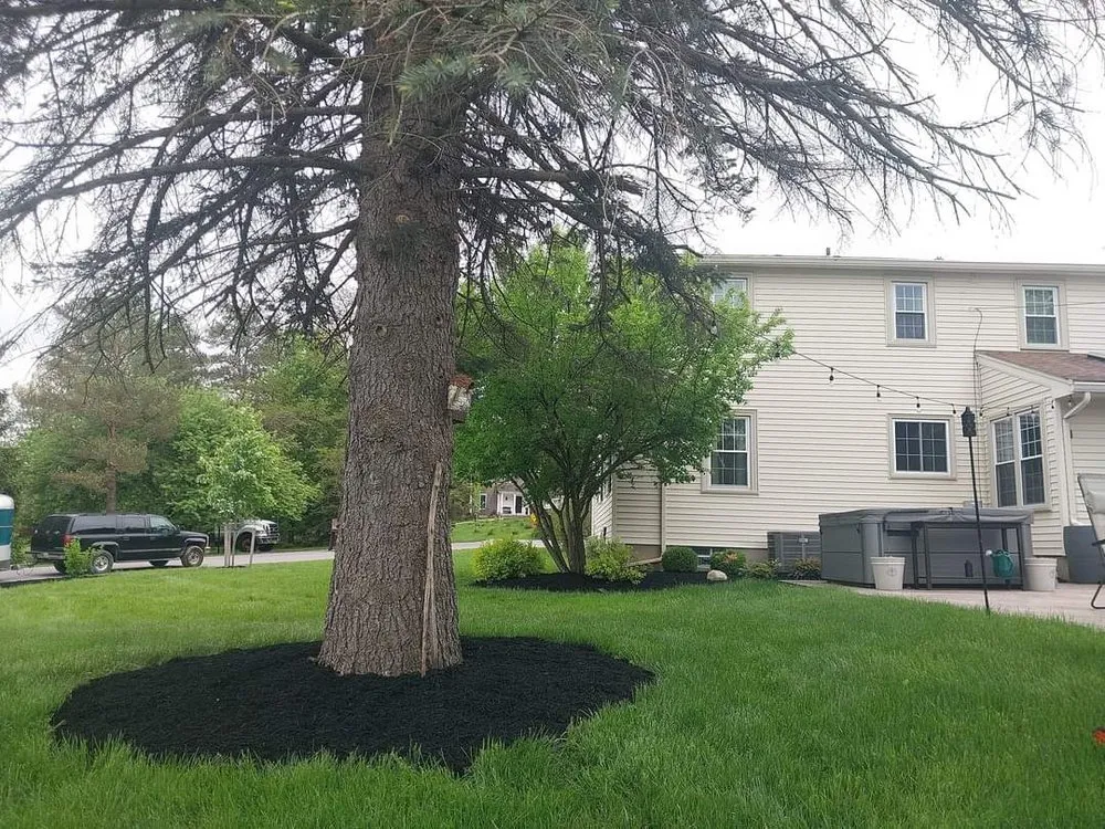 Trusted landscaping services experts serving East Aurora, NY - Pristine Power Washing