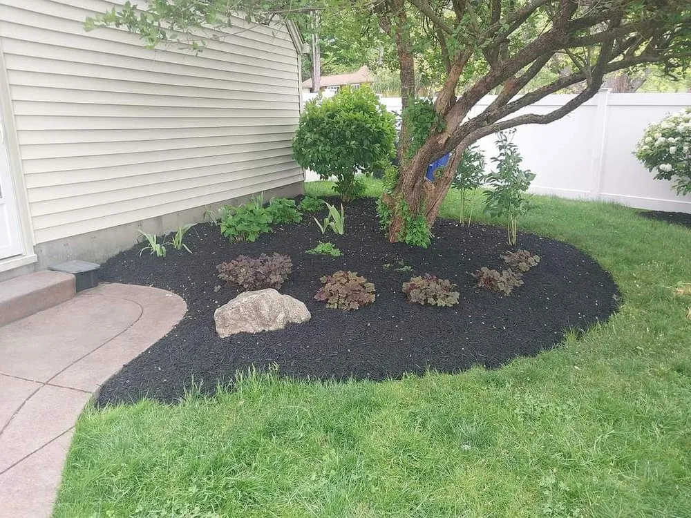 Professional yard maintenance experts serving East Aurora, NY - Pristine Power Washing