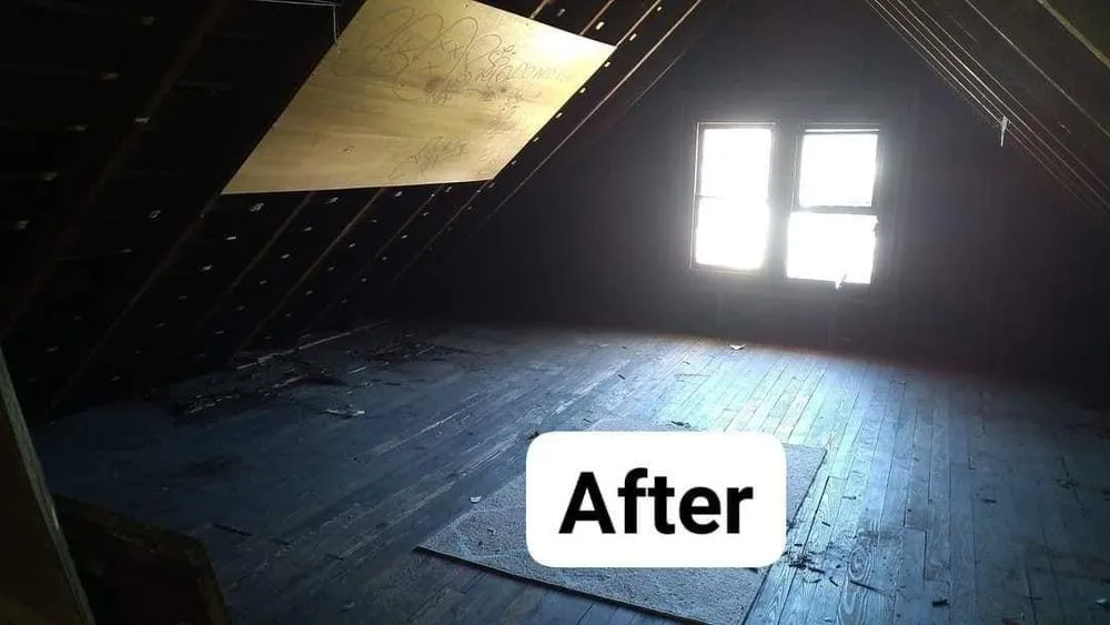 Local landscaping services for outdoor upgrades in East Aurora, NY by Pristine Power Washing