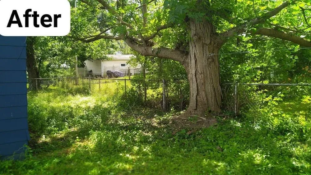 Reliable outdoor landscaping in East Aurora, NY by Pristine Power Washing