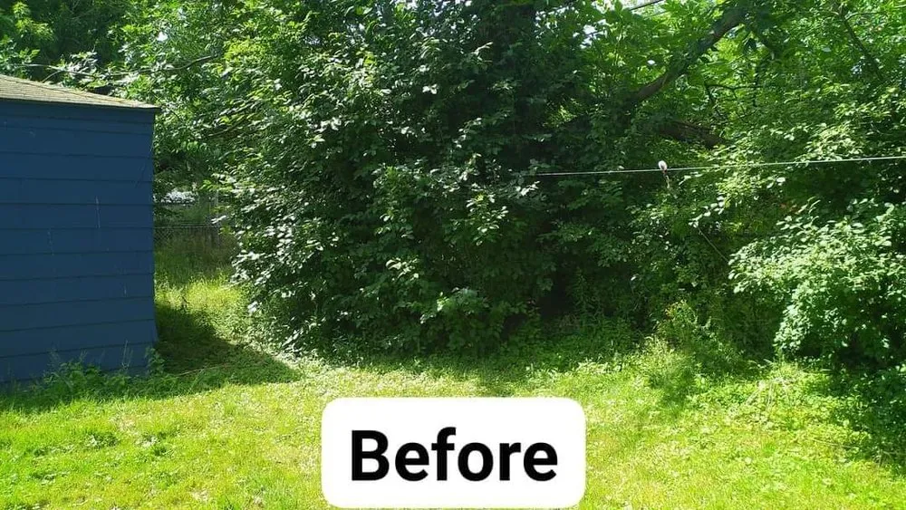 Expert lawn mowing service in East Aurora, NY by Pristine Power Washing