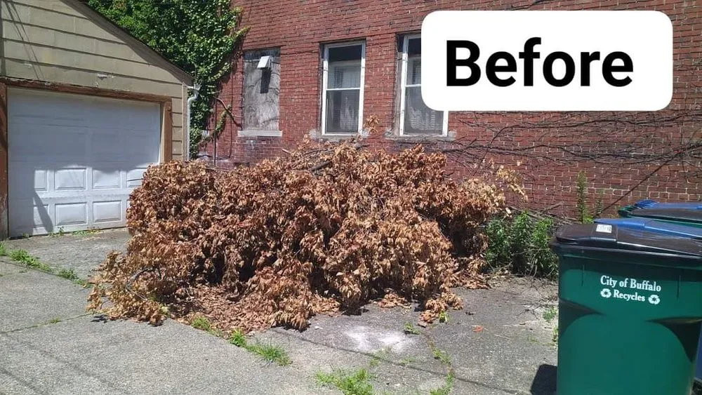 Local yard maintenance near you across East Aurora, NY - Pristine Power Washing