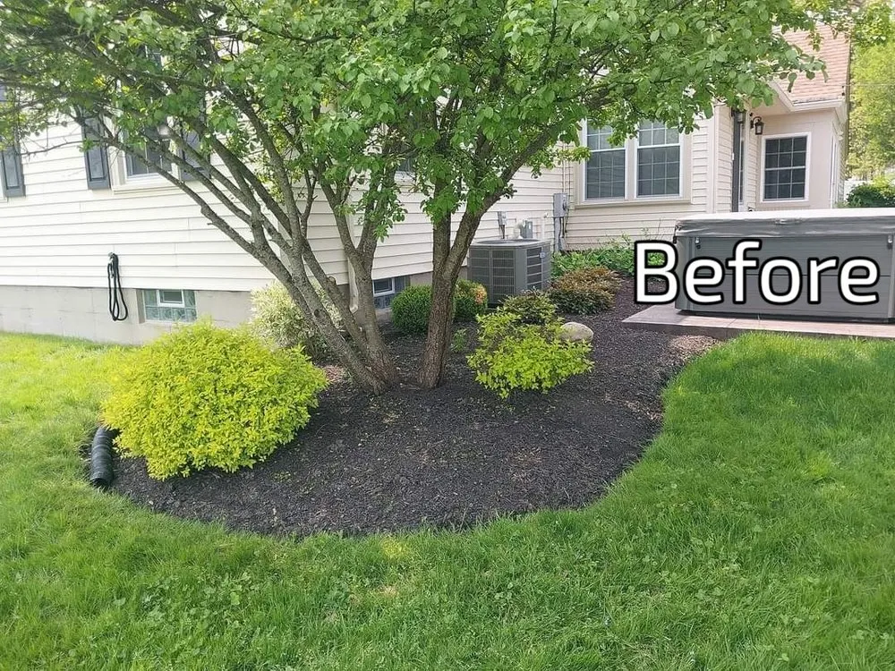 Local landscape installation for year-round maintenance across East Aurora, NY - Pristine Power Washing