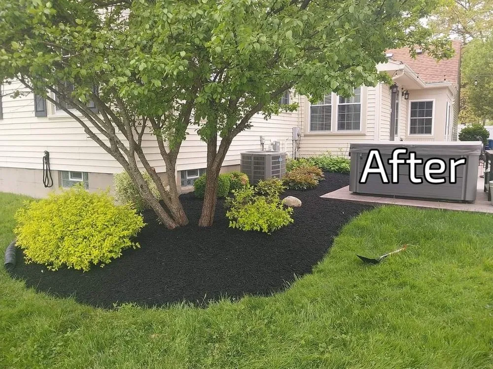 Expert yard maintenance experts serving East Aurora, NY - Pristine Power Washing