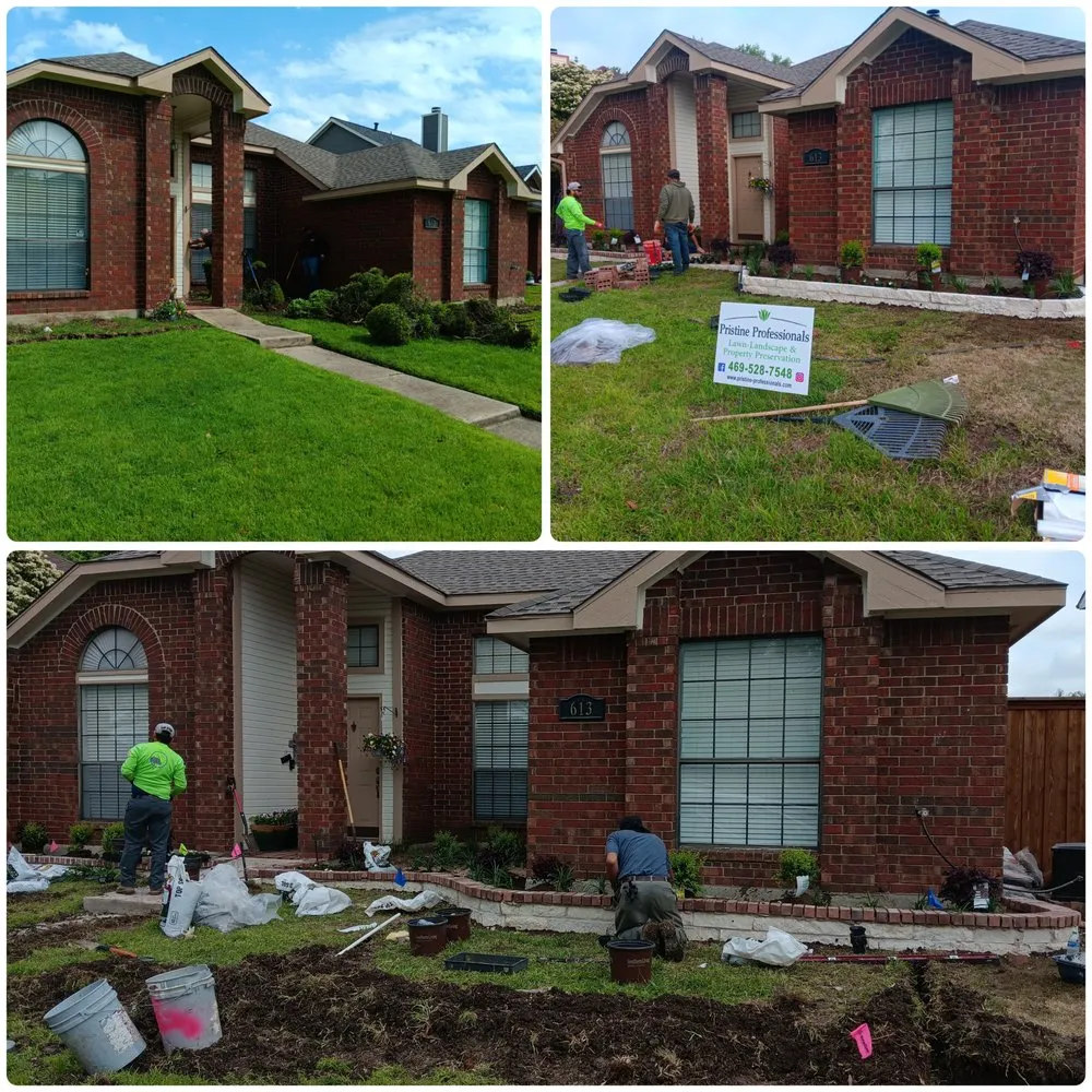 Top-rated outdoor landscaping in Plano, TX - Pristine Professionals