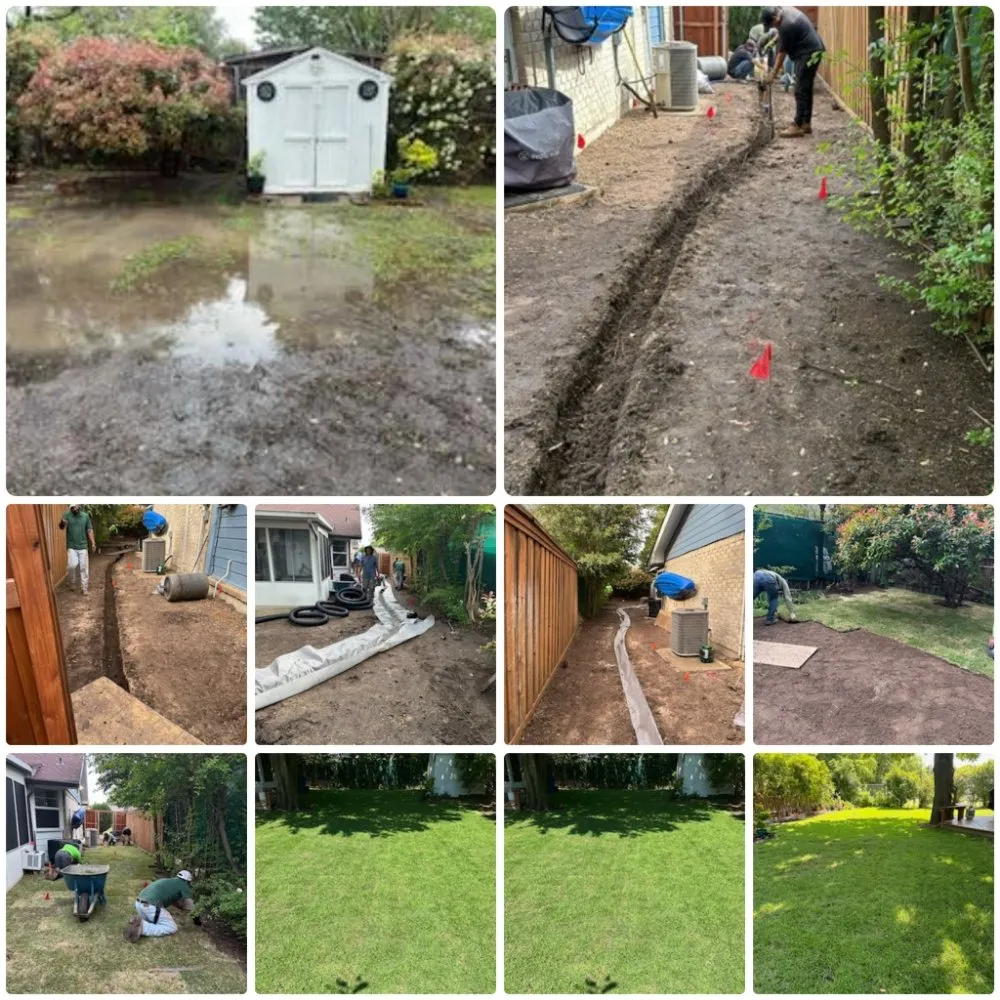 Trusted landscape design in Plano, TX - Pristine Professionals