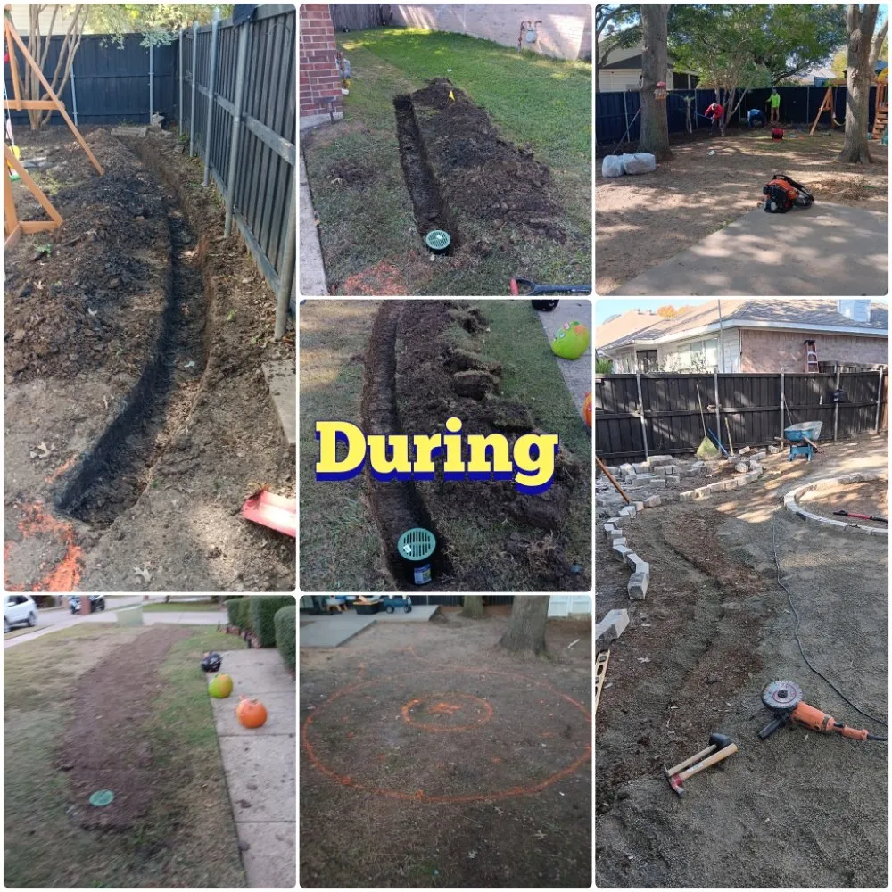 Reliable residential landscaping in Plano, TX by Pristine Professionals