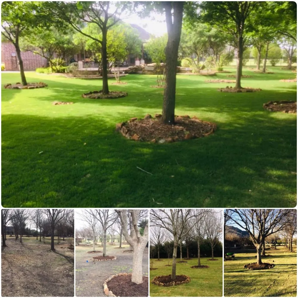 Local lawn mowing service for outdoor upgrades in Plano, TX by Pristine Professionals
