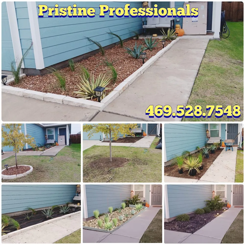Expert yard maintenance experts serving Plano, TX - Pristine Professionals