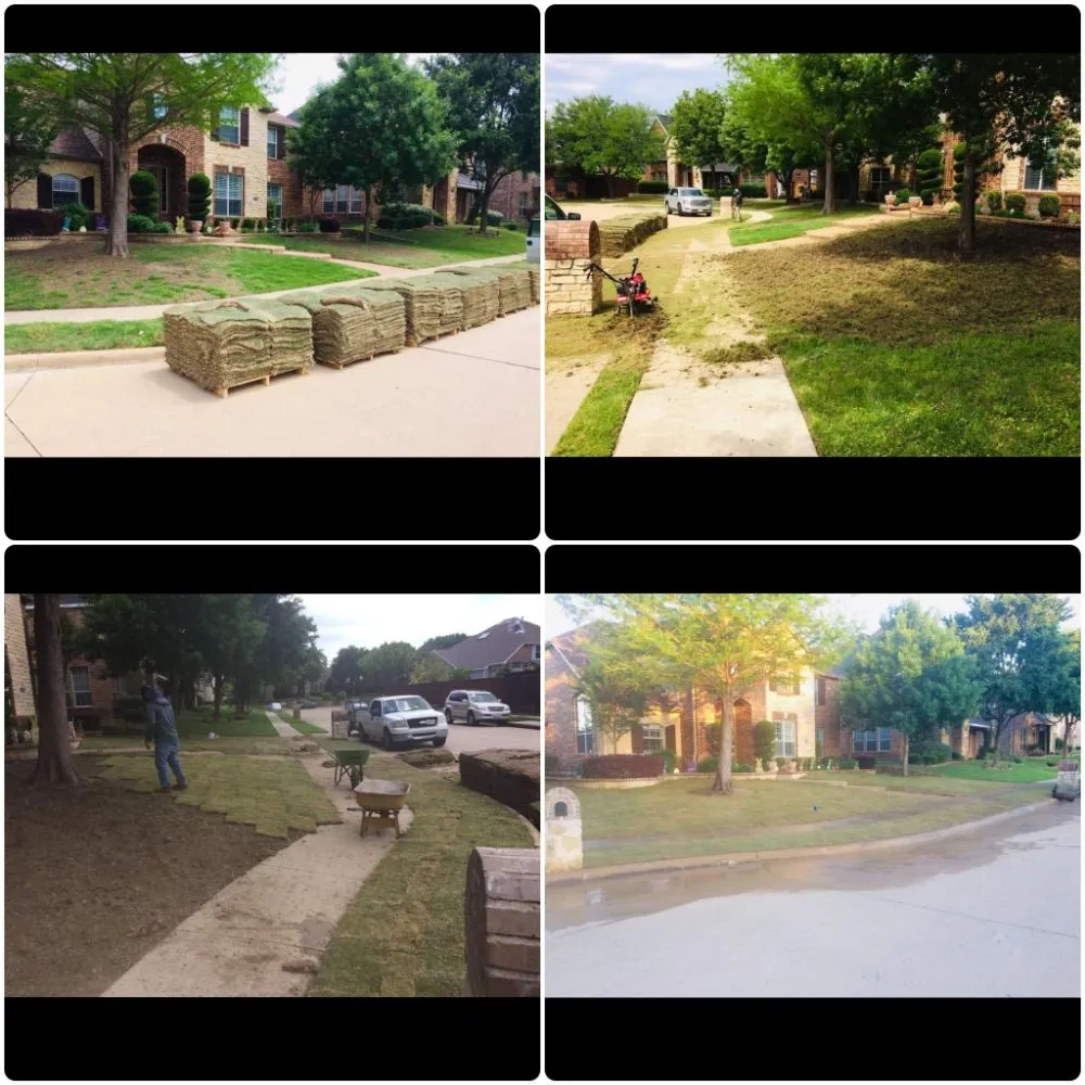 Professional yard maintenance experts serving Plano, TX - Pristine Professionals