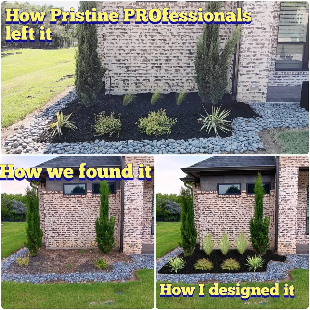 Expert yard cleanup service for homes across Plano, TX - Pristine Professionals