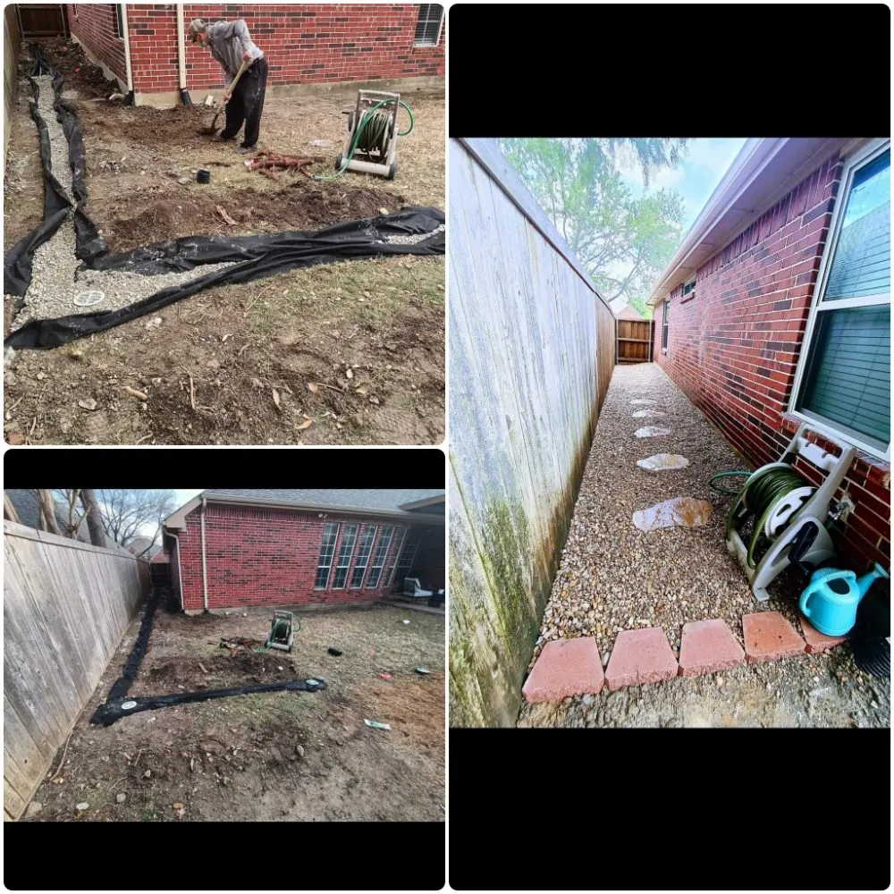 Expert yard cleanup service in Plano, TX by Pristine Professionals