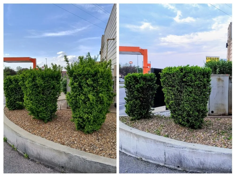 Custom yard cleanup service experts serving Evansville, IN - Pristine Properties