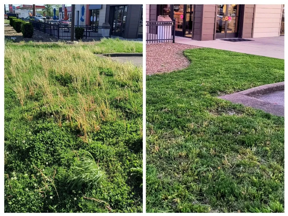 Professional yard maintenance for beautiful yards across Evansville, IN - Pristine Properties