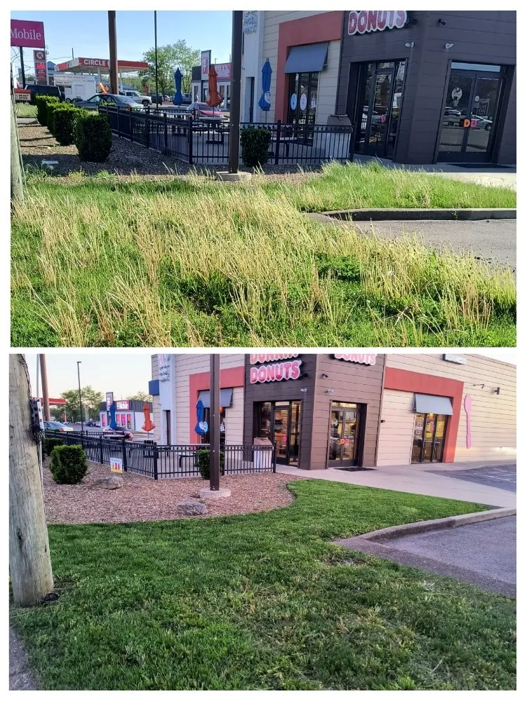 Expert outdoor landscaping with custom design in Evansville, IN by Pristine Properties