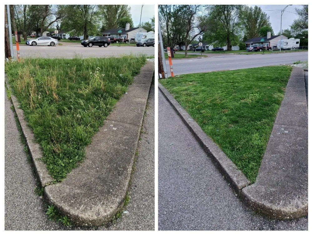 Trusted yard cleanup service in Evansville, IN by Pristine Properties