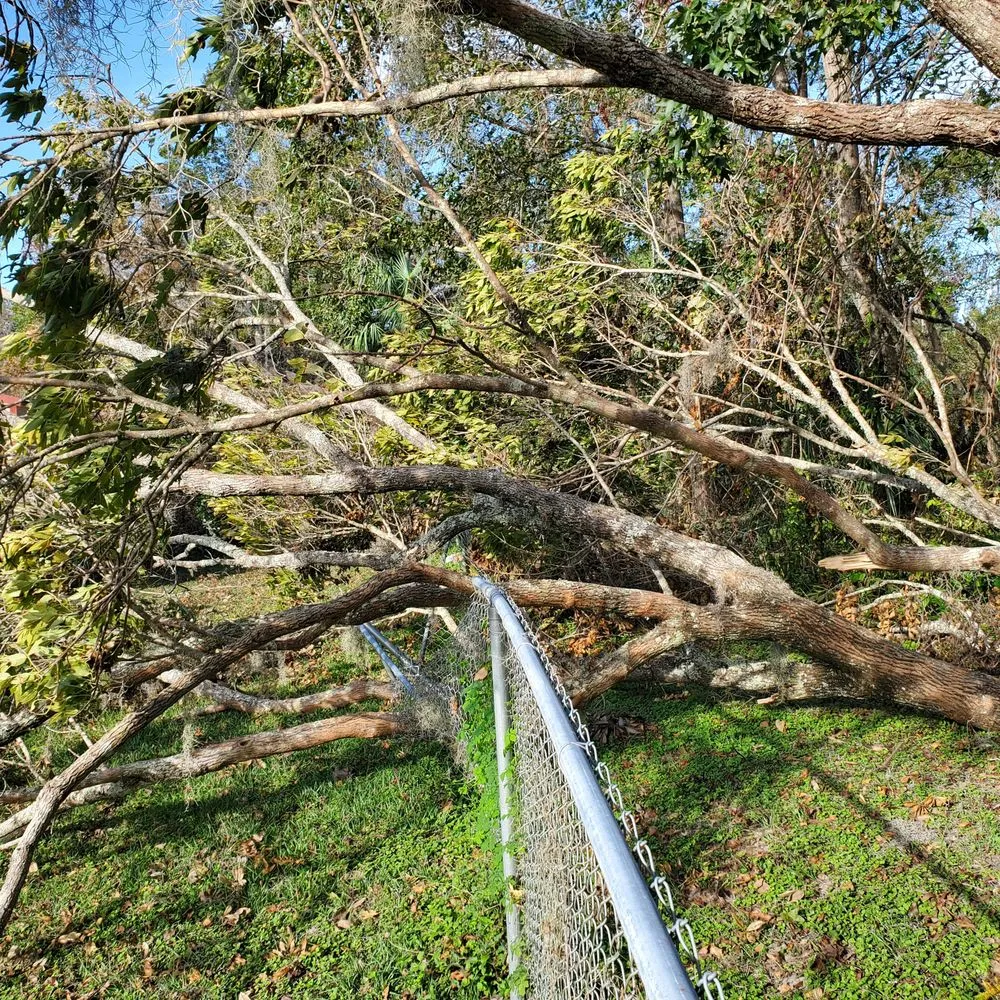 Top-rated outdoor landscaping in Lakeland, FL - Pristine Property Care