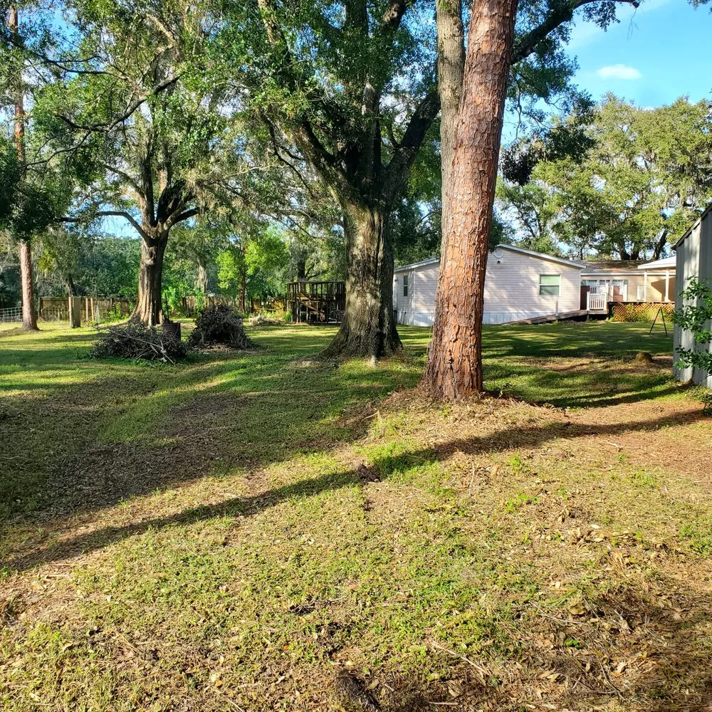Custom lawn mowing service experts serving Lakeland, FL - Pristine Property Care