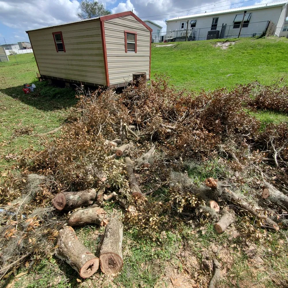 Affordable landscape design for beautiful yards across Lakeland, FL - Pristine Property Care