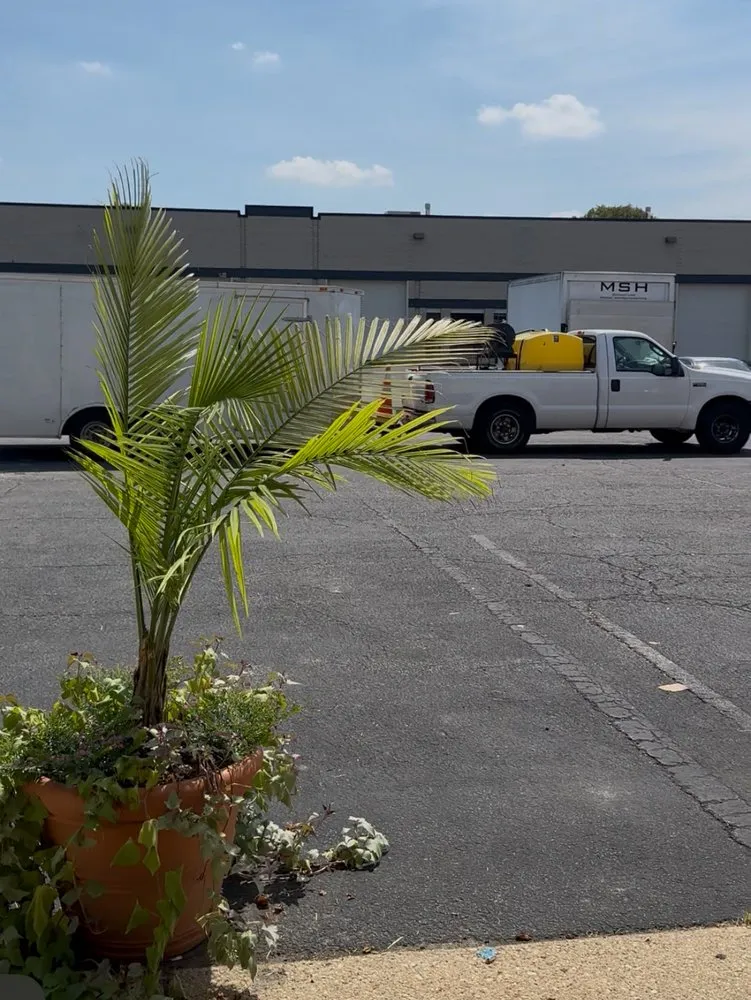 Reliable landscaping services for homes across Temple Hills, MD - Pristine Property Group